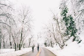 People Walking Road in a snowy landscape