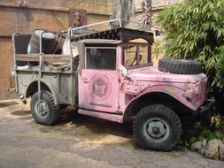 pink Jungle Car