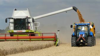 Harvest Grain Arable Combine machine