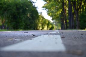 Road at Park Forest