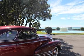 Beautiful, shiny, vintage, red car near the water, among the plants, in Napier, New Zealand