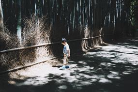 child walks down a shady road on a sunny day