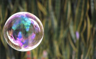 Close-up of the colorful, shiny soap bubble, among the colorful grass
