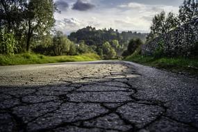 Beautiful landscape of the road, among the green plants, in sunlight and shadows, in Tuscany, Italy