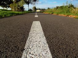 Close-up of the road with white marks, in sunlight and shadows, among the green plants