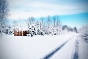 picture of Road Snowy at Winter