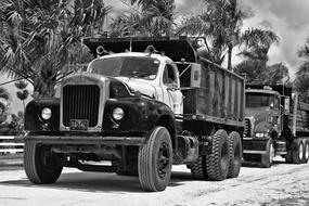 black and white photo of trucks on the road