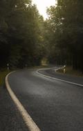 Road at Foggy Forest