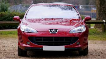 red car peugeot in nature