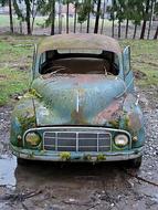 moss on an old rusty car