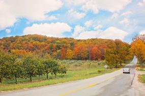 Car on the road, among the colorful and beautiful plants, on the landscape in autumn