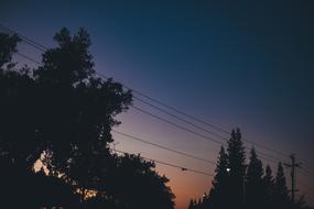 Beautiful and colorful, gradient sunset behind the silhouettes of the trees and power lines