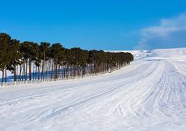 Azerbaijan Snow Winter countryside