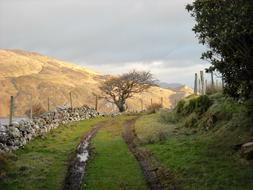 road with puddles and mud near the hill