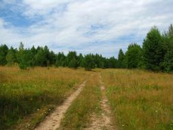 Beautiful and colorful landscape with the road with plants, in Russia, in the summer