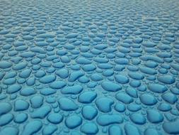 blue Waxed Wet Auto