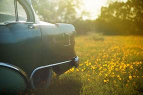 Automotive Vintage Car on meadow