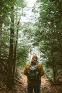 man with backpack walking in the woods