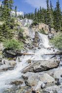 Beautiful landscape with the stream with rocks, among the green plants, on the mountain