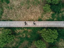 Green Trees and bridge