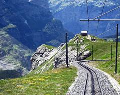 Beautiful landscape of Jungfrau Railway on the mountain with colorful plants, in sunlight, in Switzerland