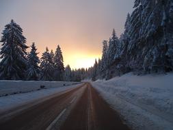 road near coniferous forest in winter