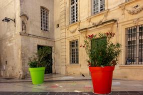 two huge flower pots near the old building