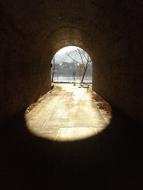 Beautiful passage in the tunnel, in sunlight, among the darkness