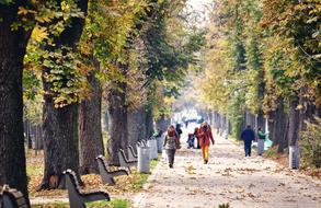 Park Path Road at autumn