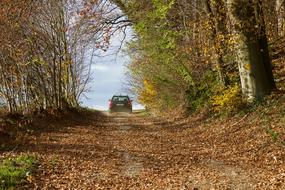 car on forest road in autumn