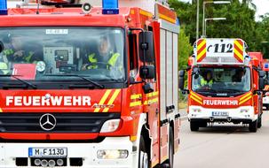 Firefighters in the colorful fire trucks, on the road, near the green plants