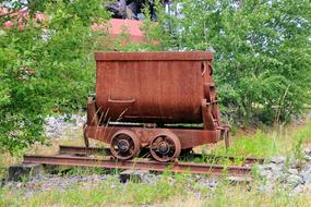 Close-up of the iron wagon, among the green plants