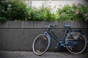 Bike Old Wheel