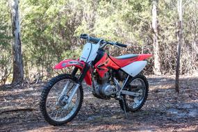 Motorbike Honda Crf100F in forest