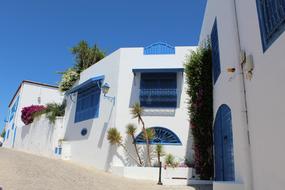 white houses with blue shutters in Tunisia