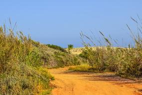 Dirt Road Landscape Scenery