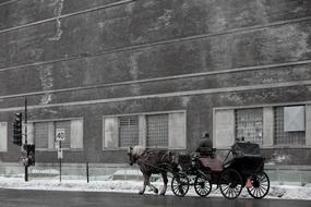 horse carriage with passengers on the city road