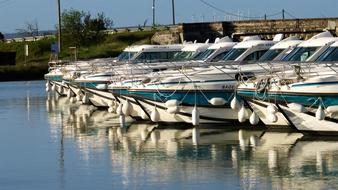 Boats at the pier of the channel, among the colorful plants