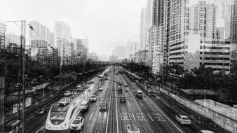 monochrome photo of Skyscraper on Street City