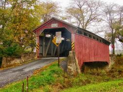 Landscape Scenic of Wooden Bridge