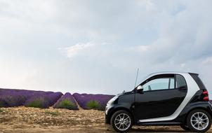 Car on Lavender Field