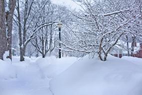 Beautiful landscape of the park with lantern, in deep snow, in Michigan, in the winter