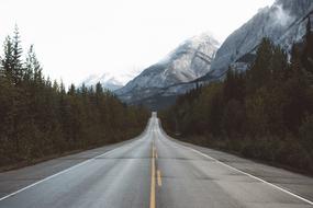 asphalt highway along trees in a mountain landscape