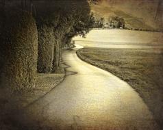 Beautiful, retro landscape with the road, near the field, among the plants