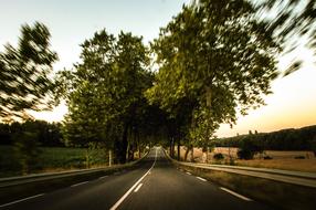 Landscape of the road from the car in movement, among the colorful plants