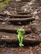 green Kermit Frog Sit on stairs