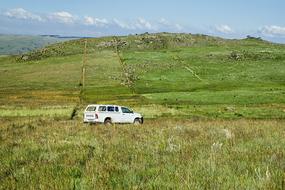 a white car stands in the middle of a pasture with green grass