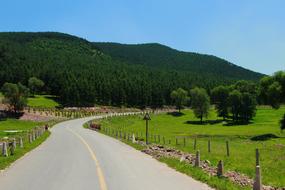 Beautiful landscape of the road with yellow line, among the green plants, under the blue sky, in Inner Mongolia, China