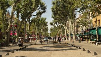 alley among green trees in the city center