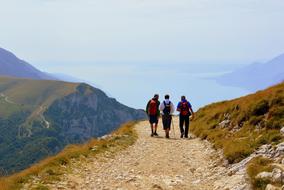 landscape of Walk Trekking